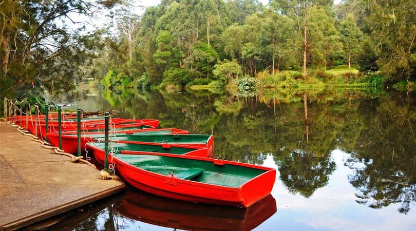 Scenic picnic stops with fresh mountain air