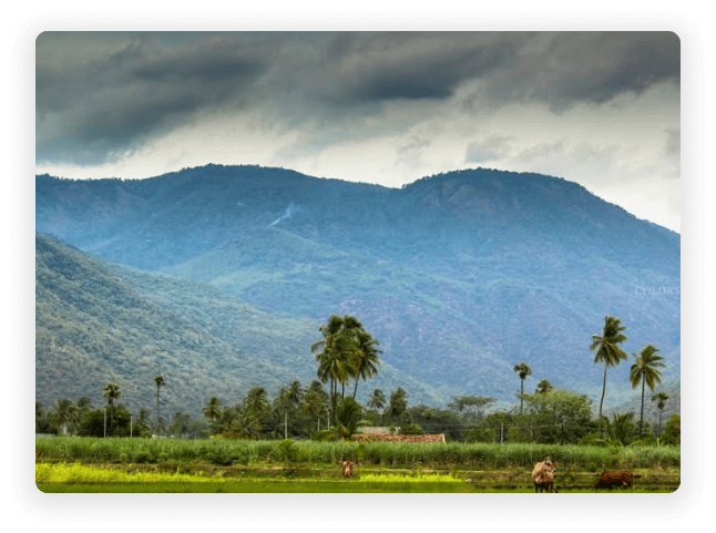  Why Salem Chooses RushCliff