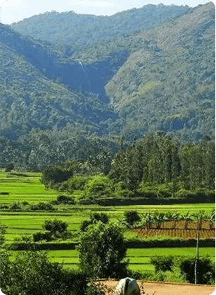 Viewpoints over the Eastern Ghats