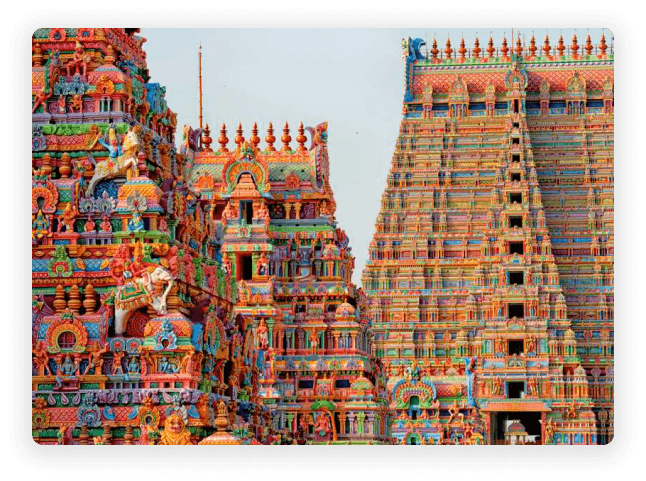 Why Trichy Visitors Choose RushCliff