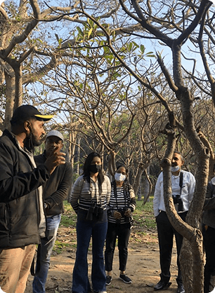 Guided nature walk and wildlife observation