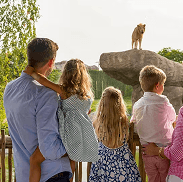 Family combo passes available at the gate